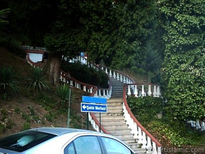 View of Termal-Gokcedere Village in Yalova city of Turkey. (The picture was taken by Artislamic.com in 2004.)