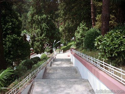 View of Termal-Gokcedere Village in Yalova city of Turkey. (The picture was taken by Artislamic.com in 2004.)