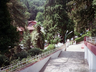 View of Termal-Gokcedere Village in Yalova city of Turkey. (The picture was taken by Artislamic.com in 2004.)