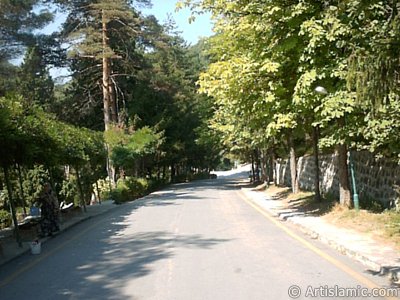 View of Termal-Gokcedere Village in Yalova city of Turkey. (The picture was taken by Artislamic.com in 2004.)