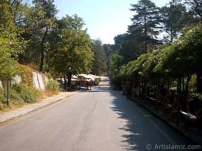 View of Termal-Gokcedere Village in Yalova city of Turkey. (The picture was taken by Artislamic.com in 2004.)