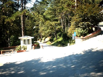 View of Termal-Gokcedere Village in Yalova city of Turkey. (The picture was taken by Artislamic.com in 2004.)