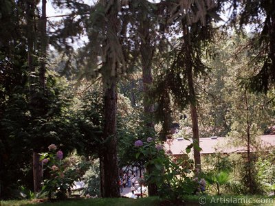 View of Termal-Gokcedere Village in Yalova city of Turkey. (The picture was taken by Artislamic.com in 2004.)