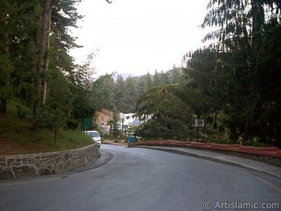 View of Termal-Gokcedere Village in Yalova city of Turkey. (The picture was taken by Artislamic.com in 2004.)