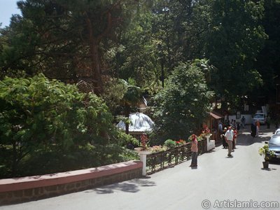 View of Termal-Gokcedere Village in Yalova city of Turkey. (The picture was taken by Artislamic.com in 2004.)