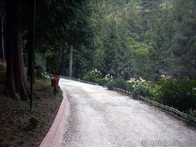 View of Termal-Gokcedere Village in Yalova city of Turkey. (The picture was taken by Artislamic.com in 2004.)