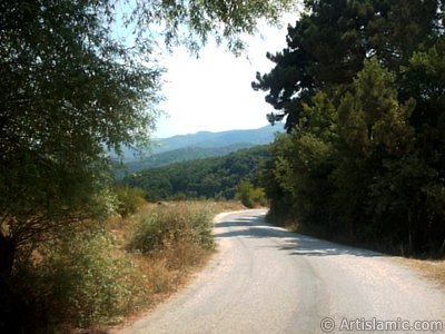 View of Termal-Gokcedere Village in Yalova city of Turkey. (The picture was taken by Artislamic.com in 2004.)