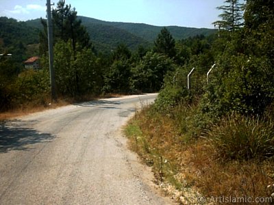 View of Termal-Gokcedere Village in Yalova city of Turkey. (The picture was taken by Artislamic.com in 2004.)