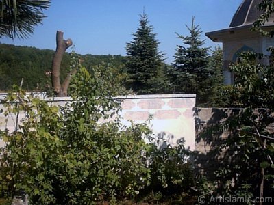 Yalova ilimizdeki Gkedere Ky`nde bulunan Ensar Camisi`nin adrvan ve bahesinden bir grnt. (Resim 2004 ylnda islamiSanat.net tarafndan ekildi.)