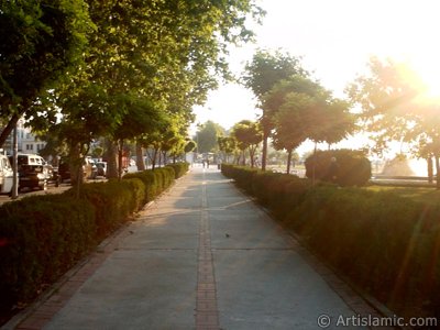 View of Yalova city in Turkey. (The picture was taken by Artislamic.com in 2004.)