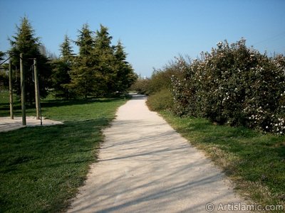 View of Botanical Park in Bursa city of Turkey. (The picture was taken by Artislamic.com in 2004.)