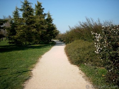 View of Botanical Park in Bursa city of Turkey. (The picture was taken by Artislamic.com in 2004.)