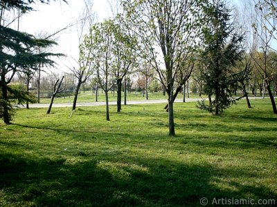 View of Botanical Park in Bursa city of Turkey. (The picture was taken by Artislamic.com in 2004.)