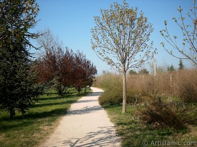 View of Botanical Park in Bursa city of Turkey. (The picture was taken by Artislamic.com in 2004.)