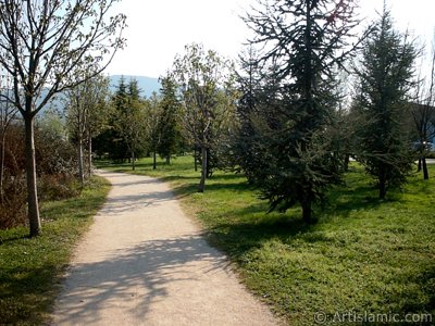 View of Botanical Park in Bursa city of Turkey. (The picture was taken by Artislamic.com in 2004.)