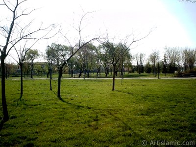 View of Botanical Park in Bursa city of Turkey. (The picture was taken by Artislamic.com in 2004.)