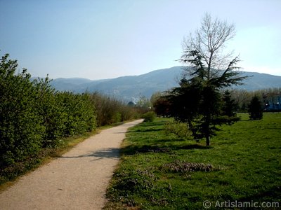 View of Botanical Park in Bursa city of Turkey. (The picture was taken by Artislamic.com in 2004.)