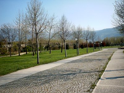 View of Botanical Park in Bursa city of Turkey. (The picture was taken by Artislamic.com in 2004.)