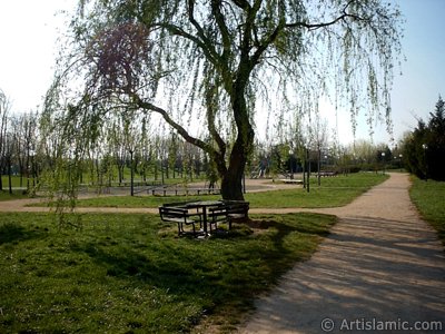 View of Botanical Park in Bursa city of Turkey. (The picture was taken by Artislamic.com in 2004.)