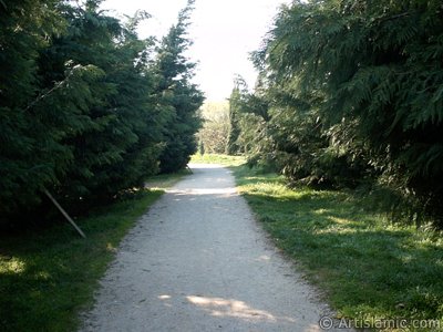 View of Botanical Park in Bursa city of Turkey. (The picture was taken by Artislamic.com in 2004.)