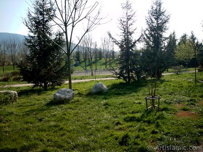 View of Botanical Park in Bursa city of Turkey. (The picture was taken by Artislamic.com in 2004.)