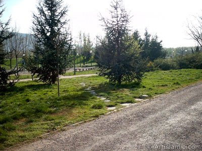 View of Botanical Park in Bursa city of Turkey. (The picture was taken by Artislamic.com in 2004.)