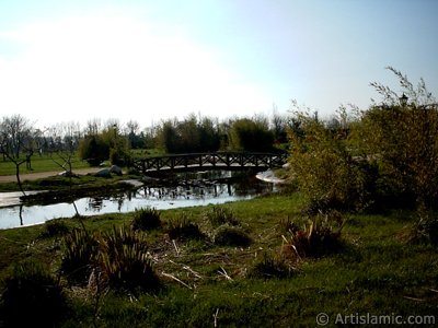 View of Botanical Park in Bursa city of Turkey. (The picture was taken by Artislamic.com in 2004.)