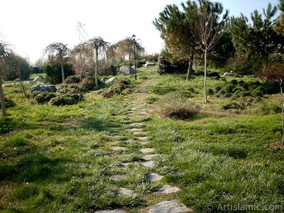 View of Botanical Park in Bursa city of Turkey. (The picture was taken by Artislamic.com in 2004.)