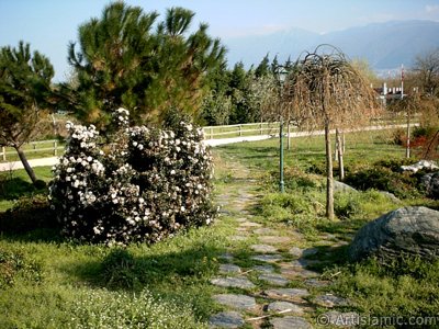 View of Botanical Park in Bursa city of Turkey. (The picture was taken by Artislamic.com in 2004.)