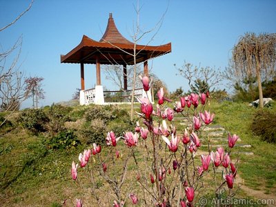 View of Botanical Park in Bursa city of Turkey. (The picture was taken by Artislamic.com in 2004.)