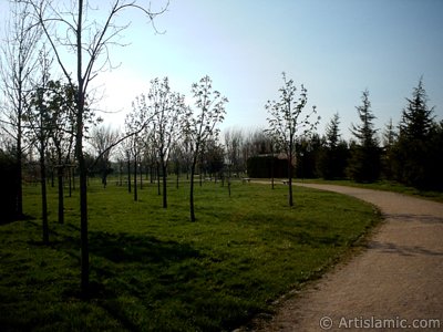 View of Botanical Park in Bursa city of Turkey. (The picture was taken by Artislamic.com in 2004.)