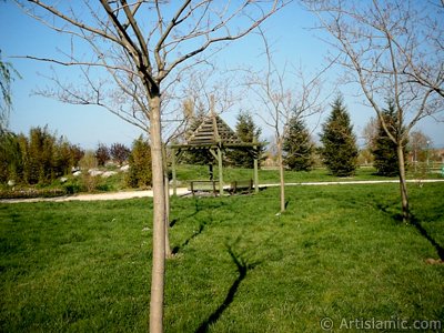 View of Botanical Park in Bursa city of Turkey. (The picture was taken by Artislamic.com in 2004.)