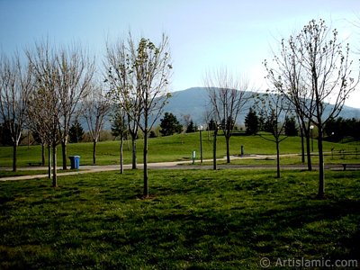 View of Botanical Park in Bursa city of Turkey. (The picture was taken by Artislamic.com in 2004.)