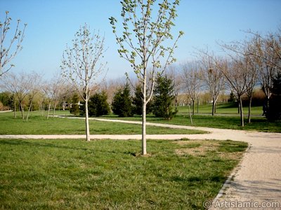 View of Botanical Park in Bursa city of Turkey. (The picture was taken by Artislamic.com in 2004.)