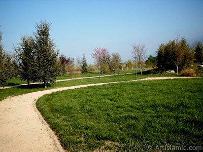 View of Botanical Park in Bursa city of Turkey. (The picture was taken by Artislamic.com in 2004.)