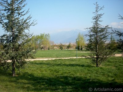 View of Botanical Park in Bursa city of Turkey. (The picture was taken by Artislamic.com in 2004.)