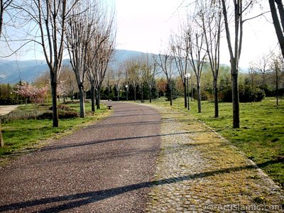 View of Botanical Park in Bursa city of Turkey. (The picture was taken by Artislamic.com in 2004.)