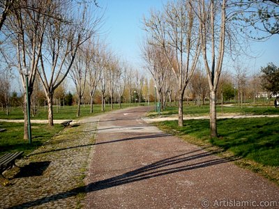 View of Botanical Park in Bursa city of Turkey. (The picture was taken by Artislamic.com in 2004.)