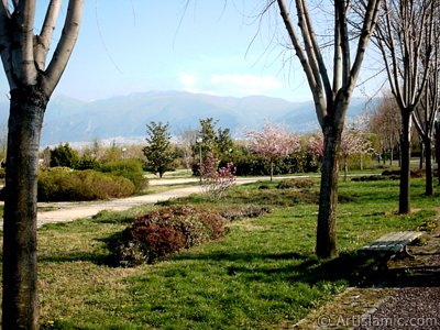 View of Botanical Park in Bursa city of Turkey. (The picture was taken by Artislamic.com in 2004.)