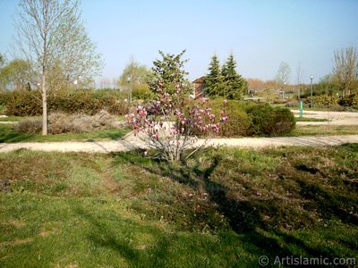 View of Botanical Park in Bursa city of Turkey. (The picture was taken by Artislamic.com in 2004.)