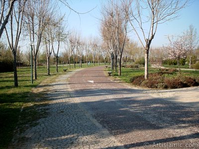 View of Botanical Park in Bursa city of Turkey. (The picture was taken by Artislamic.com in 2004.)