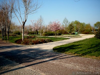 View of Botanical Park in Bursa city of Turkey. (The picture was taken by Artislamic.com in 2004.)