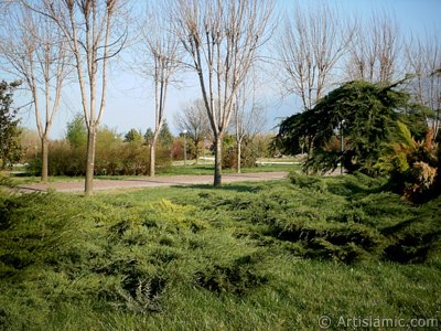 View of Botanical Park in Bursa city of Turkey. (The picture was taken by Artislamic.com in 2004.)