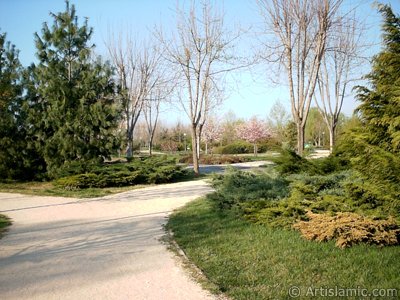 View of Botanical Park in Bursa city of Turkey. (The picture was taken by Artislamic.com in 2004.)