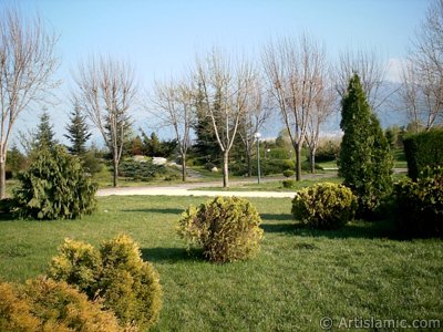 View of Botanical Park in Bursa city of Turkey. (The picture was taken by Artislamic.com in 2004.)