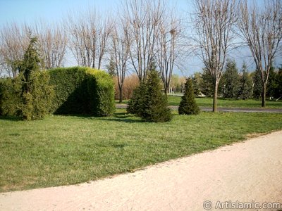 View of Botanical Park in Bursa city of Turkey. (The picture was taken by Artislamic.com in 2004.)