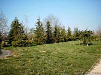 View of Botanical Park in Bursa city of Turkey. (The picture was taken by Artislamic.com in 2004.)