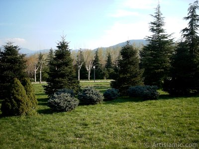 View of Botanical Park in Bursa city of Turkey. (The picture was taken by Artislamic.com in 2004.)