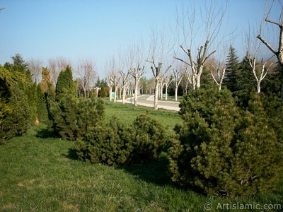 View of Botanical Park in Bursa city of Turkey. (The picture was taken by Artislamic.com in 2004.)