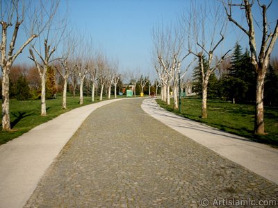 View of Botanical Park in Bursa city of Turkey. (The picture was taken by Artislamic.com in 2004.)